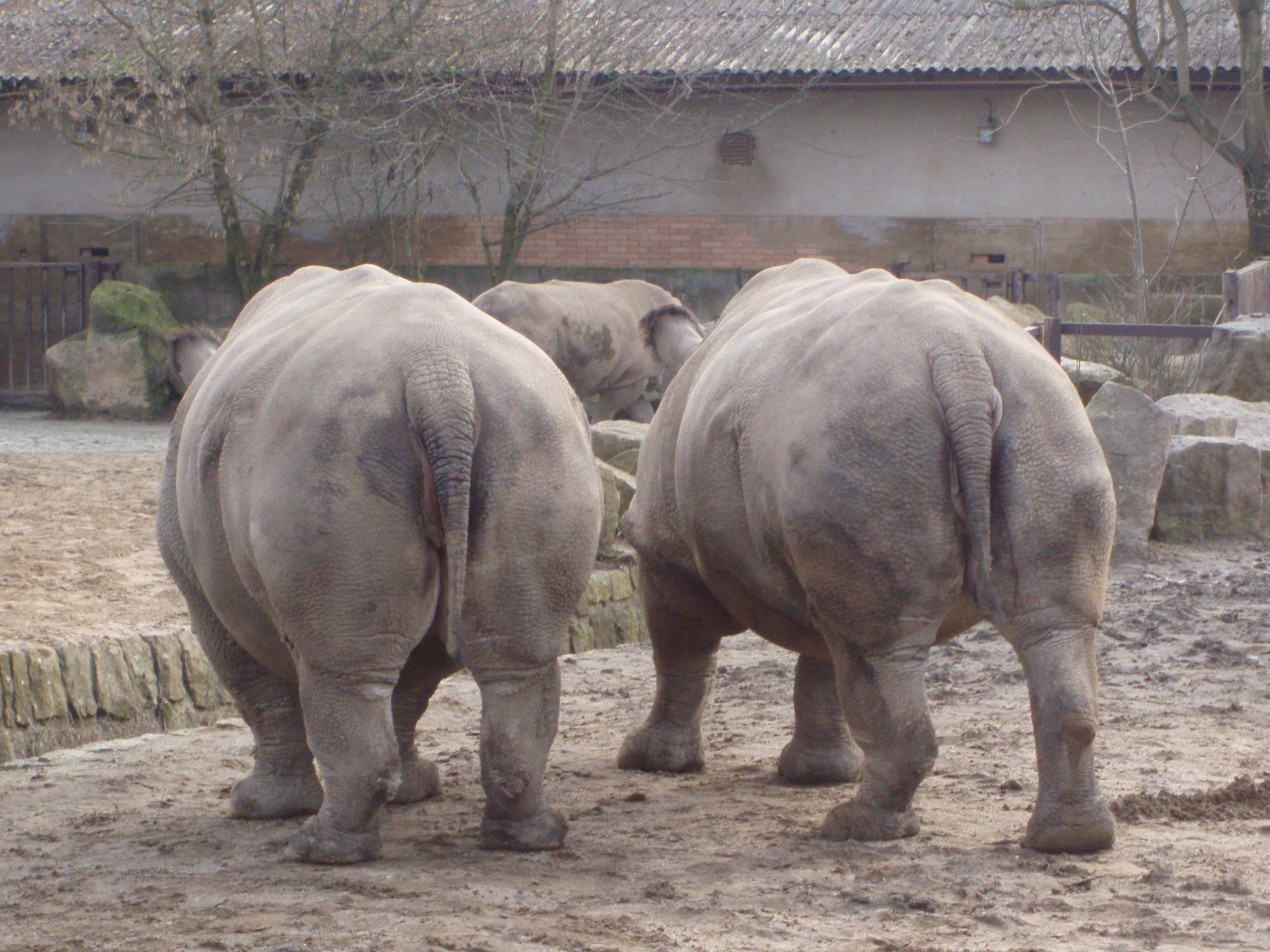 Zoo8.jpg