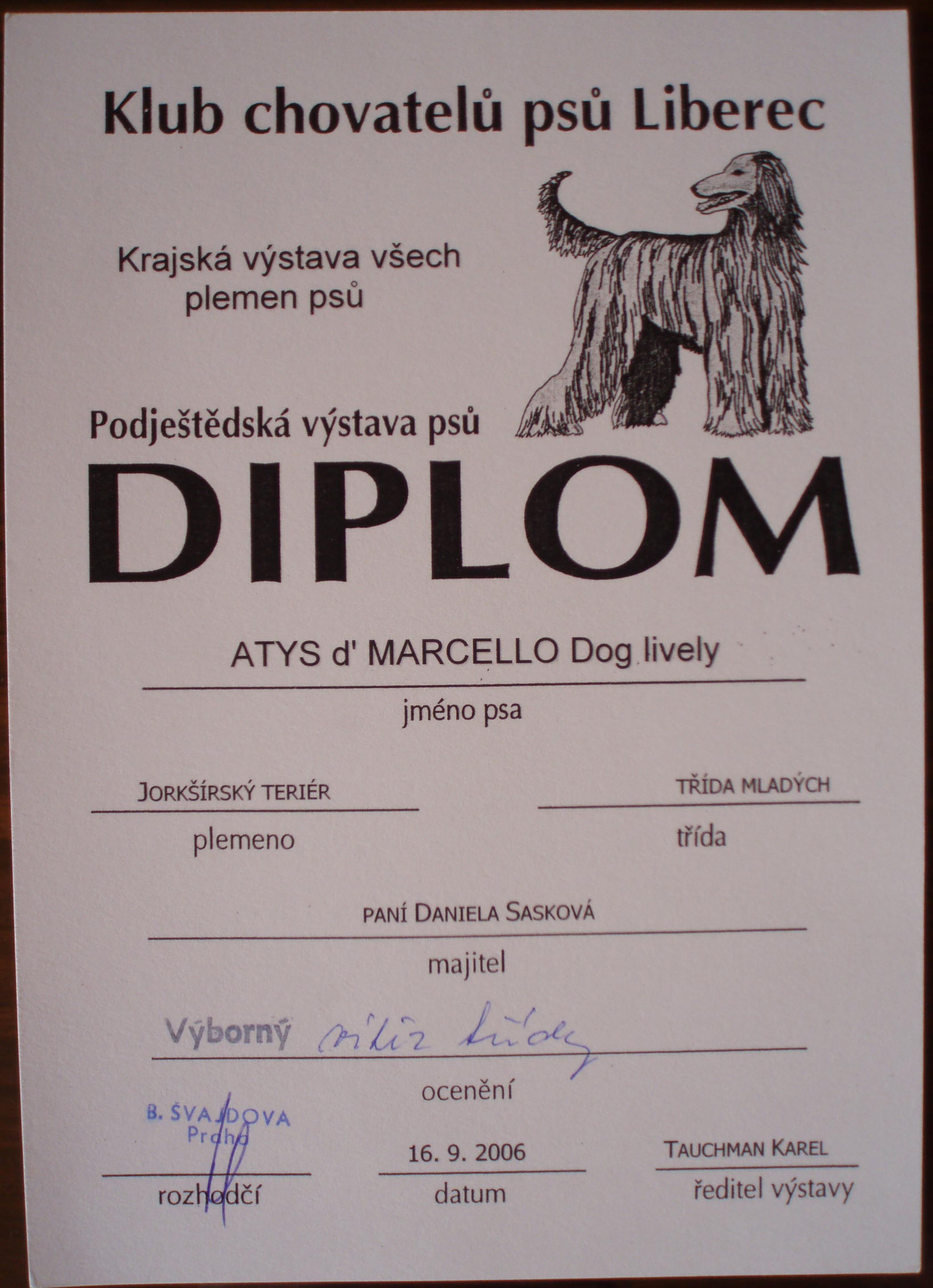 Diplom.jpg